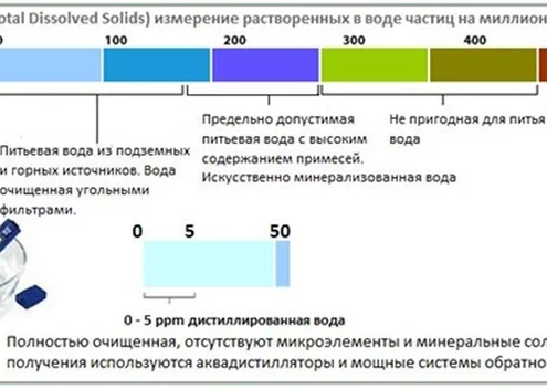 Засоленность почвы: что нужно знать, выращивая голубику