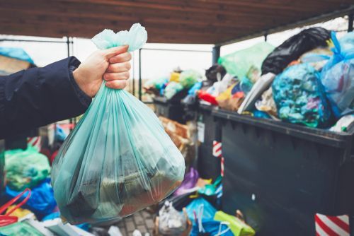 Зачем собирать органический мусор раздельно