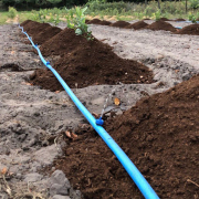 Система автополива на плантации: организация и особенности