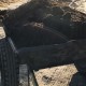Грунт для голубики садовой: как подготовить субстрат к посадке