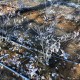 Бордосская жидкость для голубики: приготовление и сроки