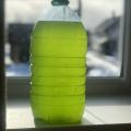Купить суспензию хлореллы для растений и прудов в Минске.