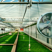 Организация приточно вытяжной вентиляции в теплице