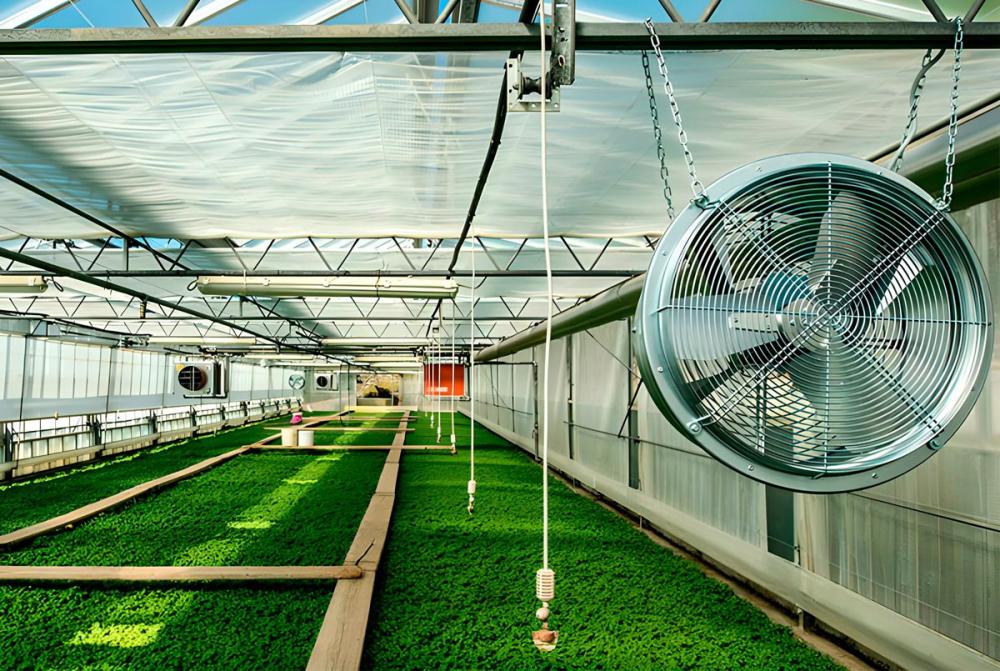 Организация приточно вытяжной вентиляции в теплице