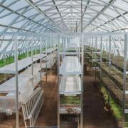 Как построить теплицу из поликарбоната своими руками